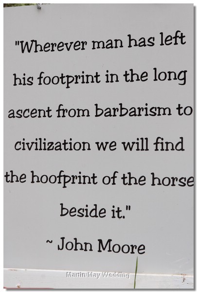 MMJM1064.JPG