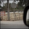 IMG_1823.jpg