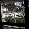 IMG_1825.jpg
