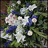 IMG_2010.jpg