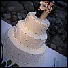 IMG_2285.jpg
