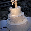 IMG_2286.jpg